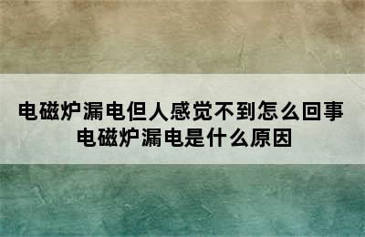 电磁炉漏电但人感觉不到怎么回事 电磁炉漏电是什么原因